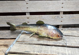 15" Faux Catfish