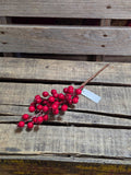 12" Red Berry Stem