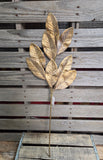 29" Gold Magnolia Stem