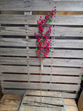 38" Red High Quality Berry Stem
