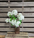 22" Snowball Hydrangea Bush