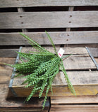 16" Plastic Button Fern Bush