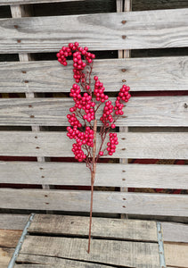 24" Red Berry Stem