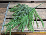 19" Faux Norfolk Pine and Cedar Stem