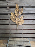 29" Gold Magnolia Stem