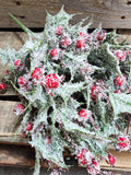 18" Frosted Holly Bush