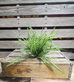 16" Plastic Button Fern Bush