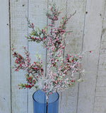 20" Frosted Greenery with Red Berries Stem