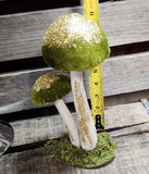 Mushroom Sitter