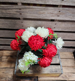 21" Red and White Football Mum Bush