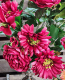 Lily Rose Gerbera Daisy Bush