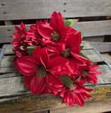 18" Burgundy Dahlia Bush