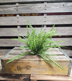16" Plastic Button Fern Bush