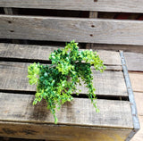 17" Poly Myrtle Bush x 5 Stems
