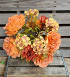 Orange/Bronze Peony Hydrangea Bush