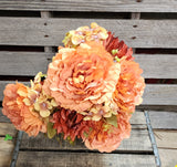 Orange/Bronze Peony Hydrangea Bush