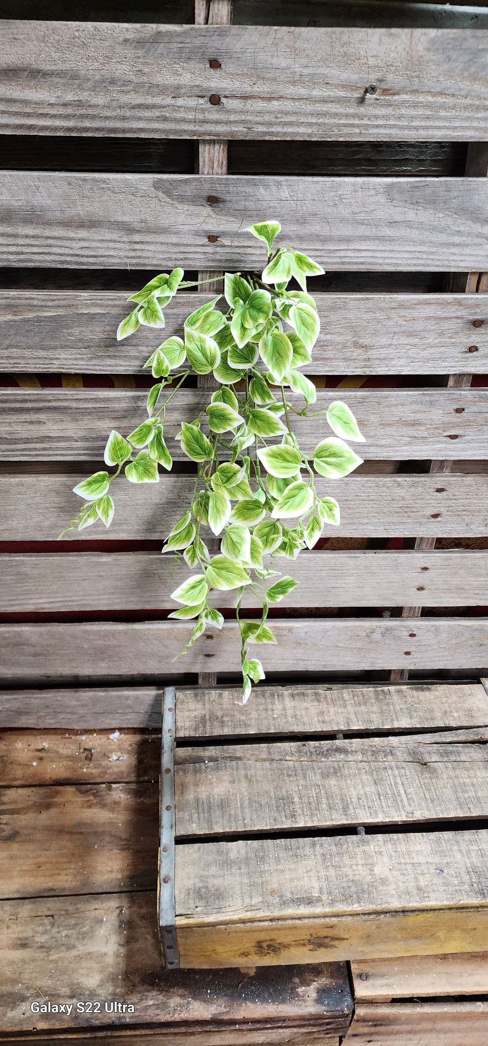 vinca vine indoor plant Vinca Vine Bush Artificial – Florist Wreath Supply