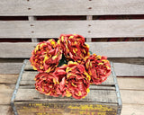 20" Bronze Fall Silk Peony Bush x5