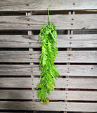 30" Green Fern Bush