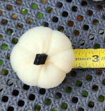 White and Cream Pumpkins