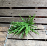 16" Beaded Grass Bush