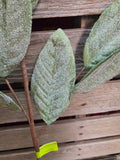 28" Iced Sage Magnolia Leaf Stem