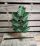 Silk Leatherleaf Fern Doz Stems- Silk Baker Fern