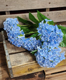 23" Blue Hydrangea Bush x5