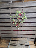 31" Iced Holly and Berry Stem