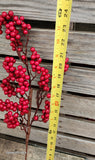 24" Red Berry Stem