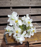 20" Silk Cosmo Bush