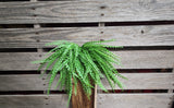 16" Beaded Grass Bush