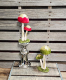 Mushroom Sitter