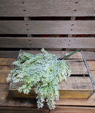 22" Flocked Greebery Bush