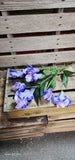 Silk Purple Iris Bush 21"