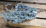 26" Flocked Berry Stem