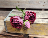 21" Burgundy Rose Stem