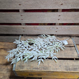 23" Flocked Greenery Stem