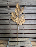 29" Gold Magnolia Stem