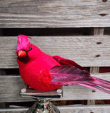 9" Large Artificial Cardinal