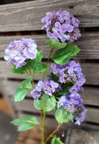 37" Real Feel Hydrangea Stem