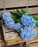 23" Blue Hydrangea Bush x5