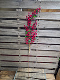 38" Red High Quality Berry Stem