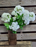 22" Snowball Hydrangea Bush