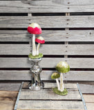 Mushroom Sitter