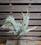 24" Flocked Fern Bush
