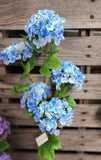 37" Real Feel Hydrangea Stem