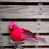 9" Large Artificial Cardinal