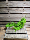 30" Green Fern Bush