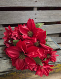 18" Burgundy Dahlia Bush